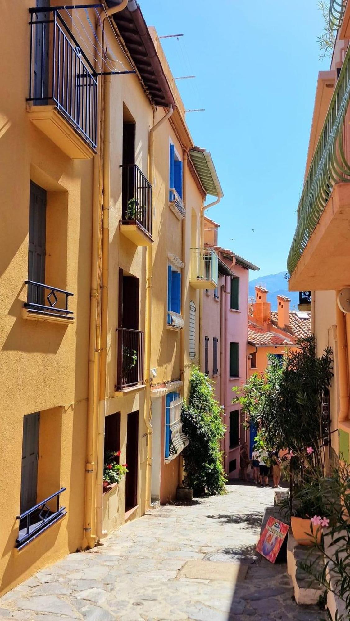 5Rbut1 - Maison Familiale Sur Deux Niveaux En Plein Coeur Du Centre Ville Collioure Exteriér fotografie