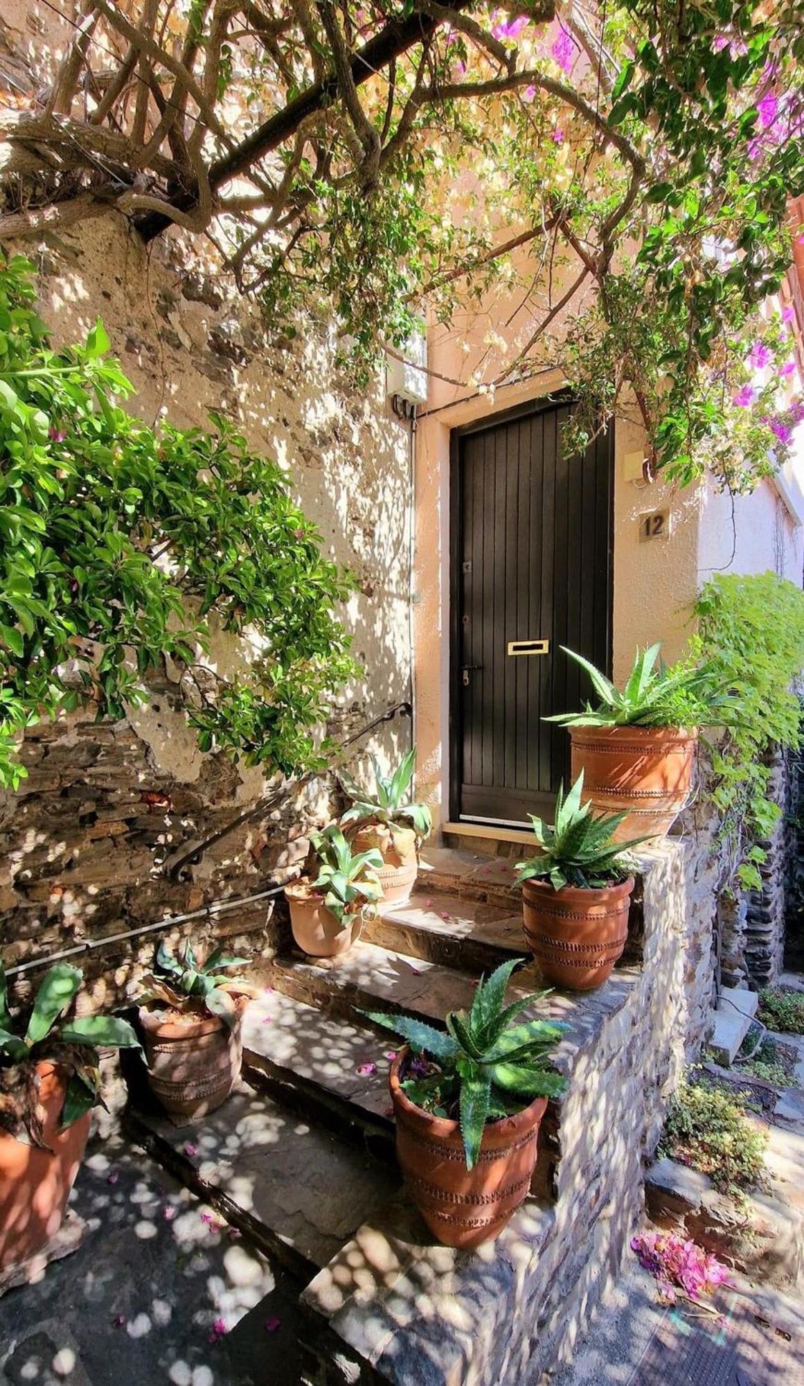 5Rbut1 - Maison Familiale Sur Deux Niveaux En Plein Coeur Du Centre Ville Collioure Exteriér fotografie