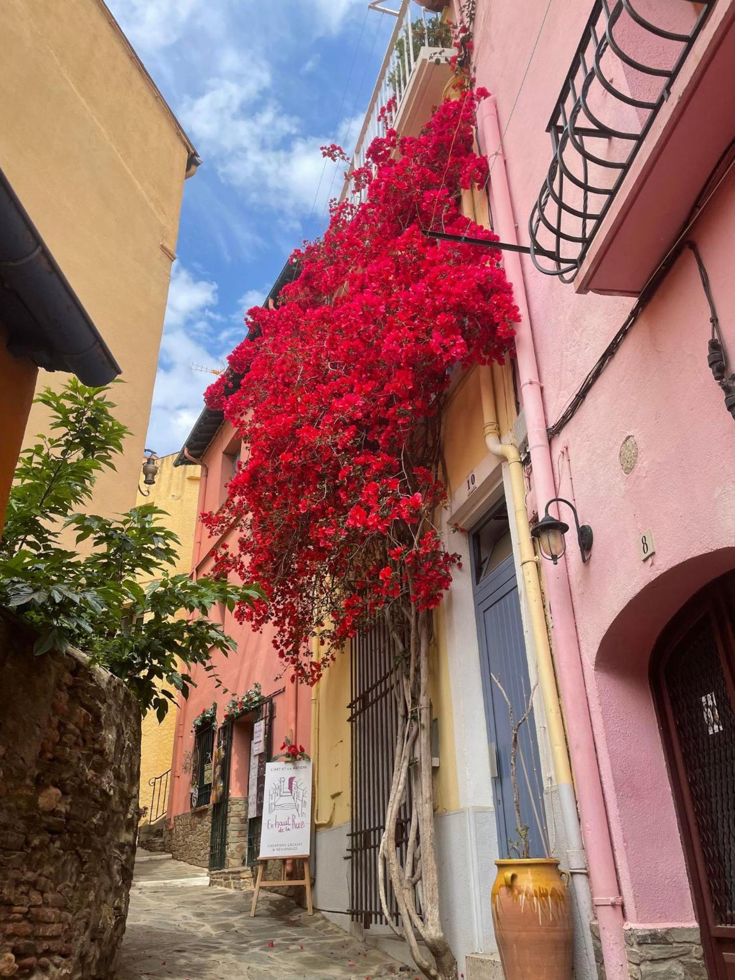 5Rbut1 - Maison Familiale Sur Deux Niveaux En Plein Coeur Du Centre Ville Collioure Exteriér fotografie